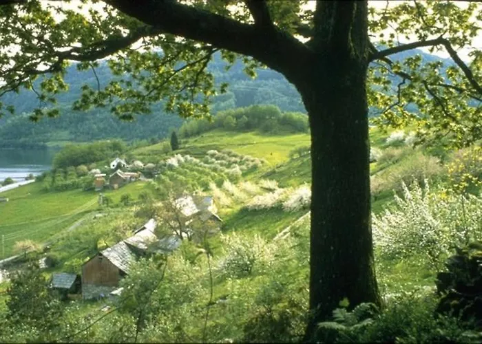 Hardanger Feriesenter Nesvika Feriehus